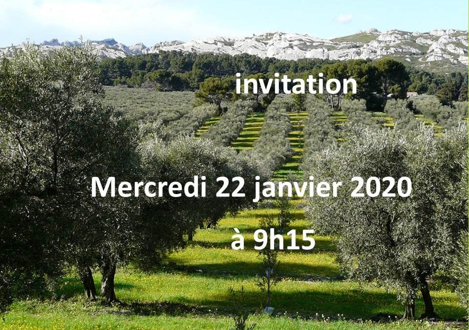 réunion sur « la productivité des oliviers »