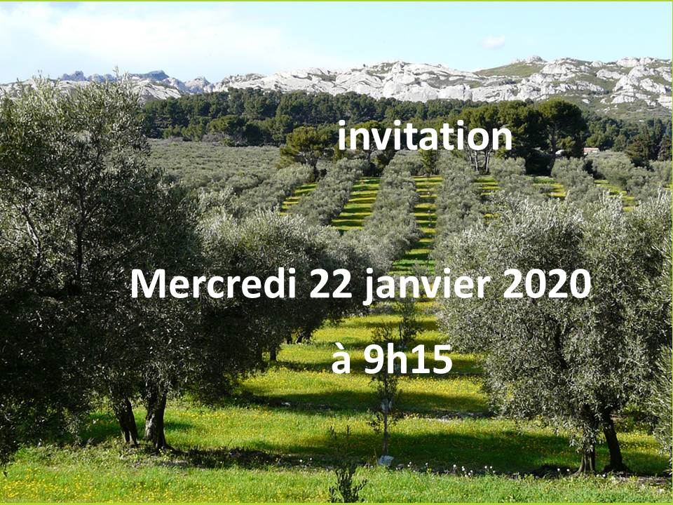 réunion sur « la productivité des oliviers »