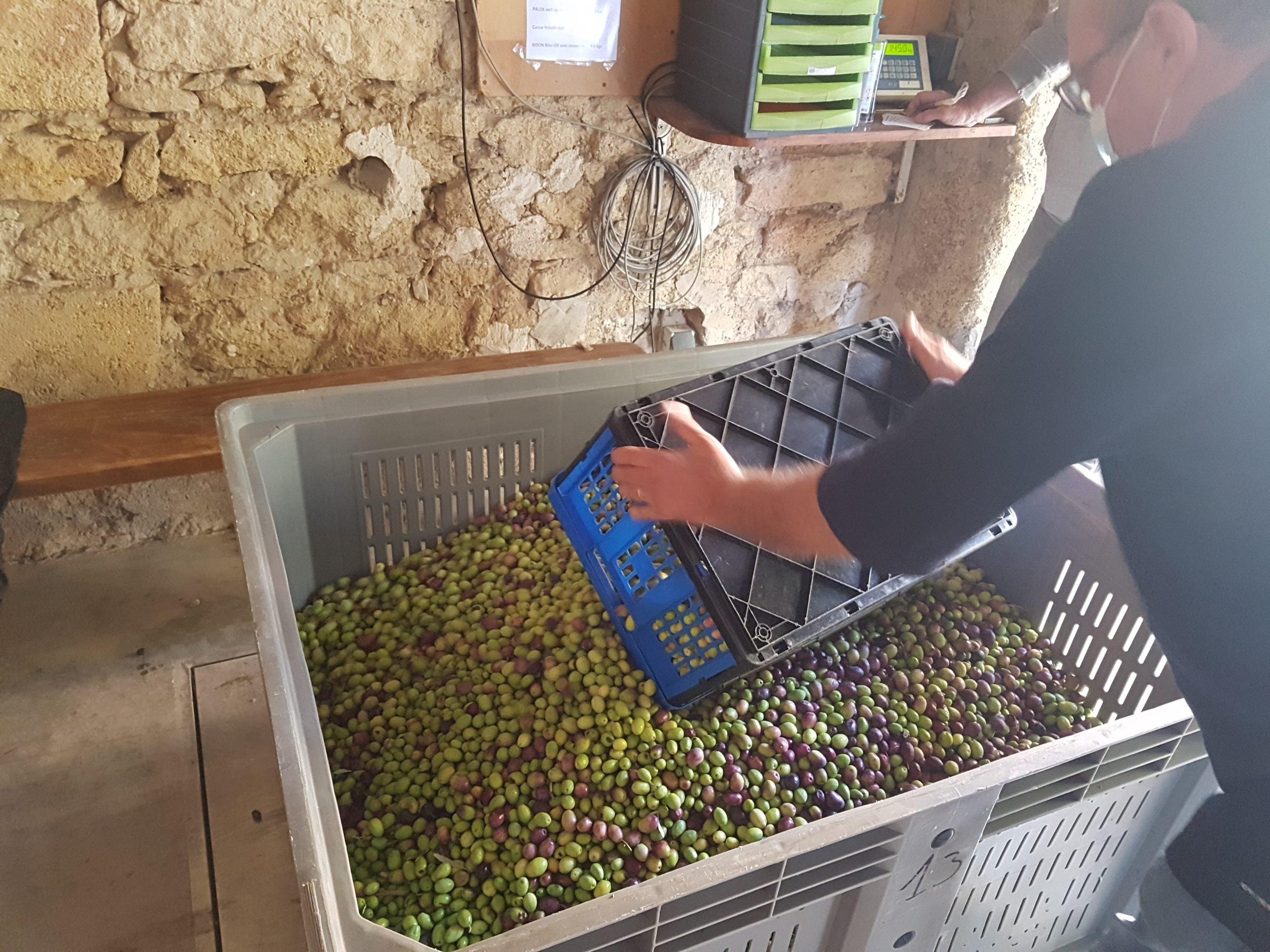 Confinement : information réception des olives au Moulin des Costes