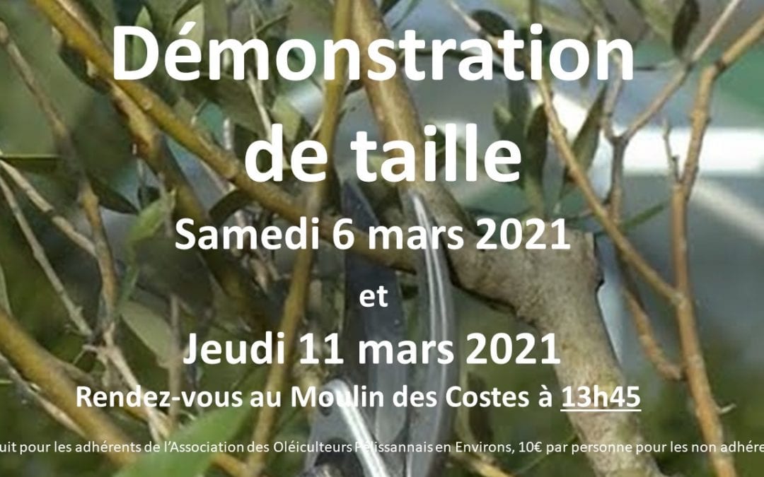 Démonstration de taille 6 mars et 11 mars