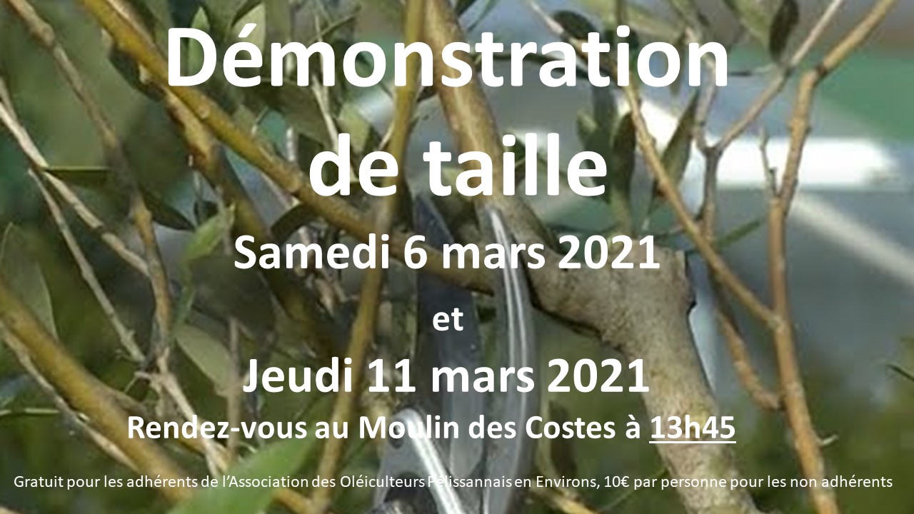 Démonstration de taille 6 mars et 11 mars