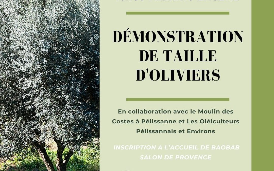 Une autre session de démonstration de taille le samedi 10 avril 2021