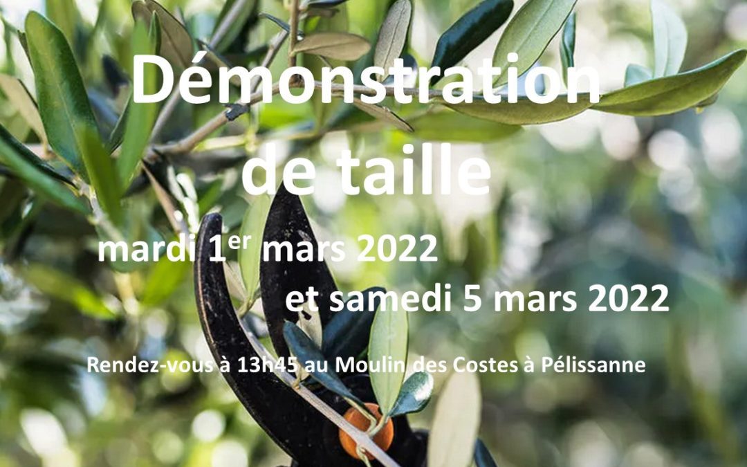 Démonstration de taille les 1er et 5 mars 2022