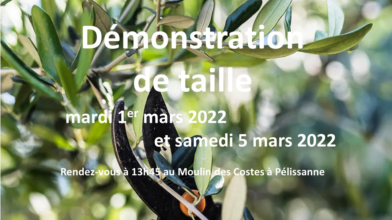 Démonstration de taille les 1er et 5 mars 2022