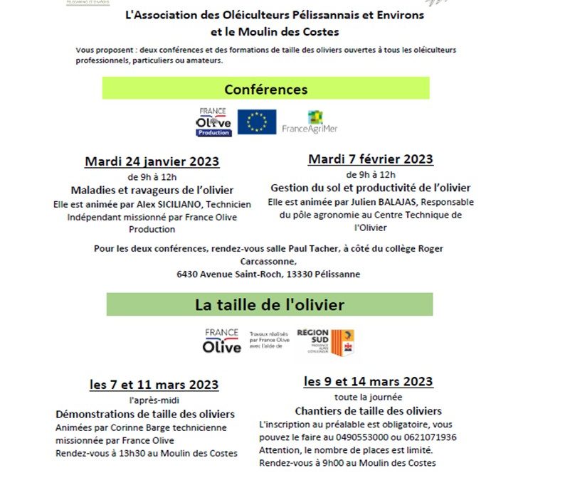 Conférences et taille de l&rsquo;olivier