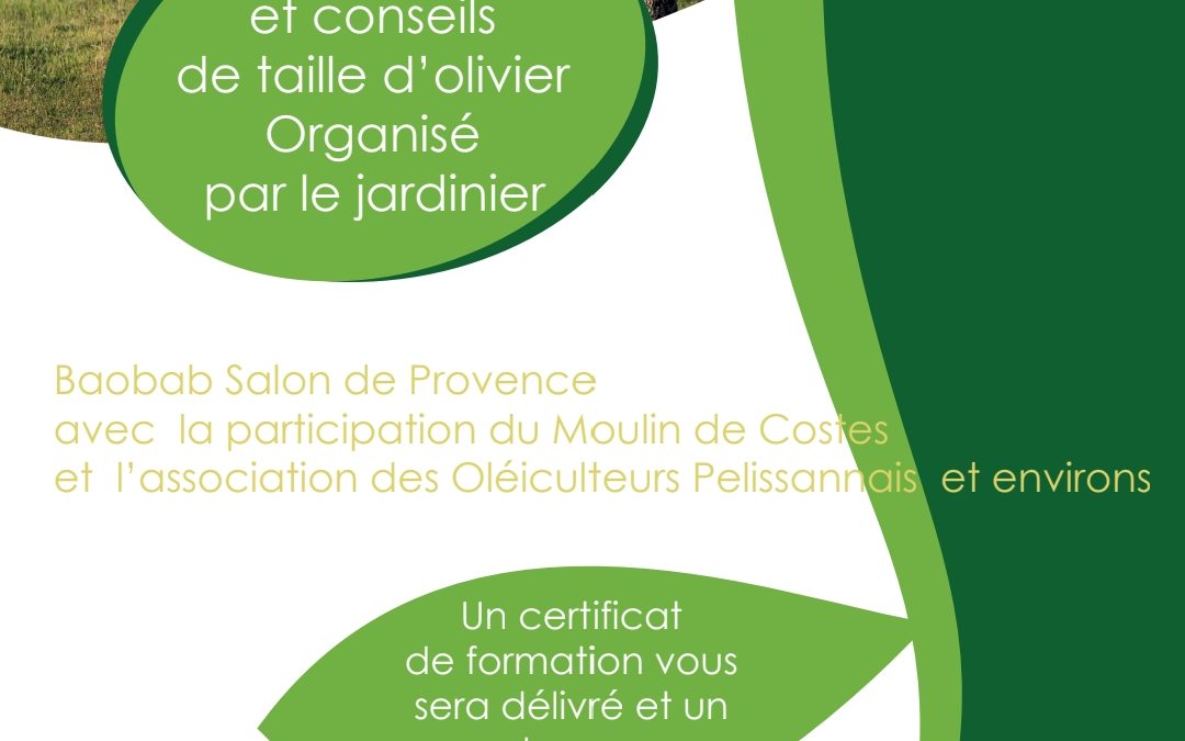 18 mars 2023 : formation de taille à Baobab Salon de Provence