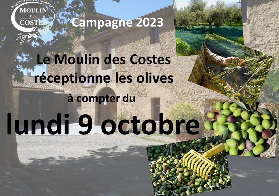 Lancement des Olivades et ouverture aux apports d&rsquo;olives