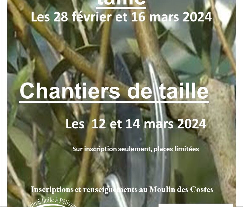 Les Formations et les Chantiers de taille