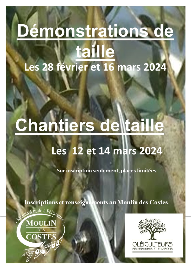 Les Formations et les Chantiers de taille