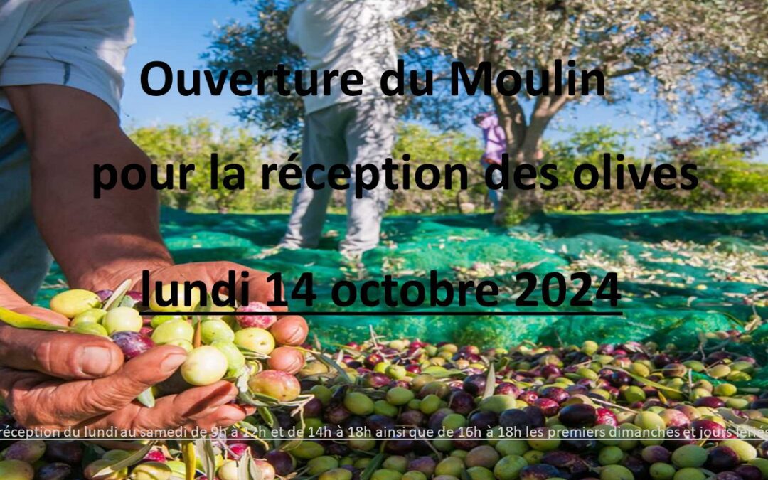 Lancement des olivades puis ouverture aux apports d&rsquo;olives