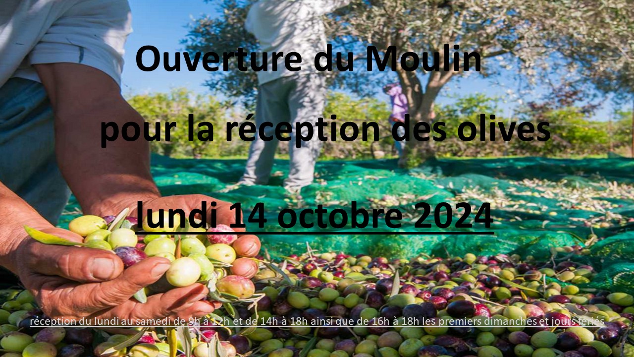 Lancement des olivades puis ouverture aux apports d&rsquo;olives