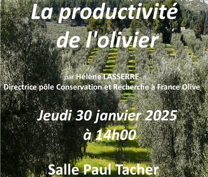 Conférence sur La Productivité des Oliviers