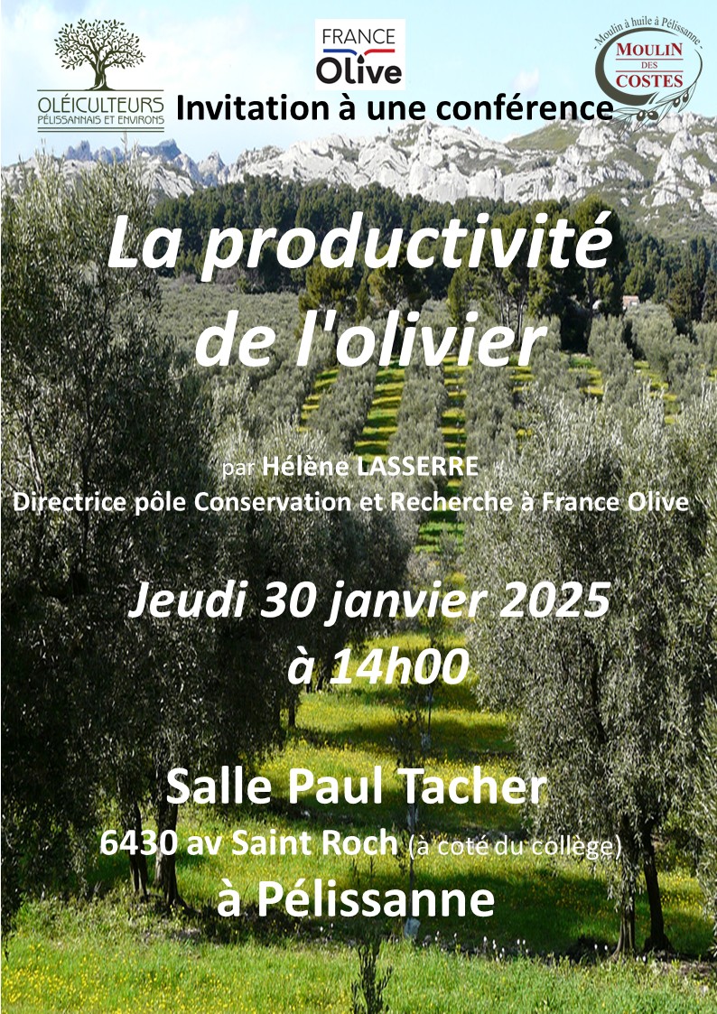 Conférence sur La Productivité des Oliviers