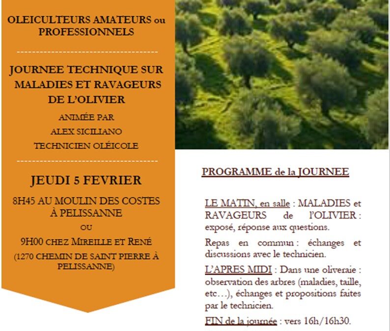 JOURNEE TECHNIQUE sur MALADIES et RAVAGEURS de l&rsquo;OLIVIER