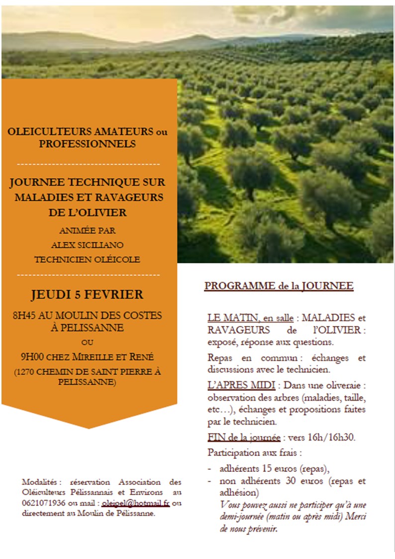 JOURNEE TECHNIQUE sur MALADIES et RAVAGEURS de l&rsquo;OLIVIER