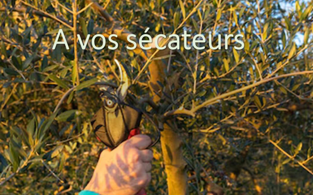 à VOS SéCATEURS