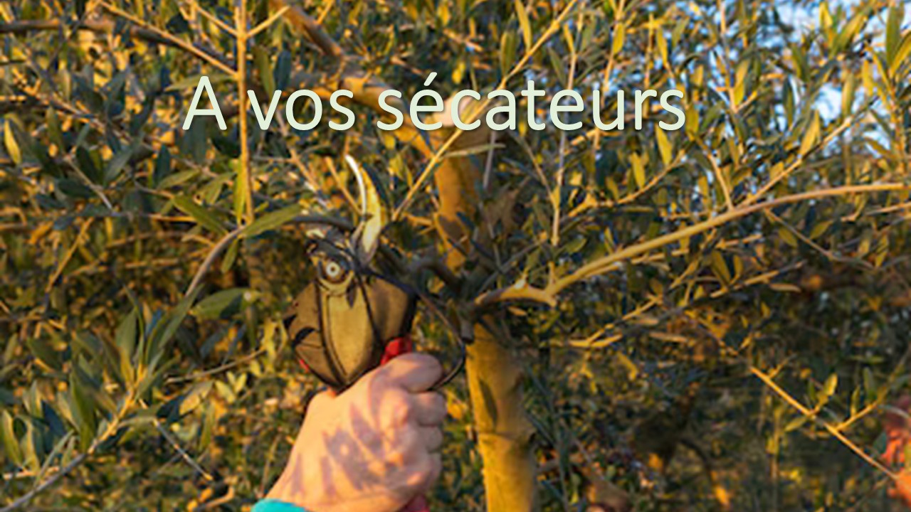 à VOS SéCATEURS